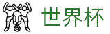 美加墨世界杯WorldCup · 体育赛事运营平台